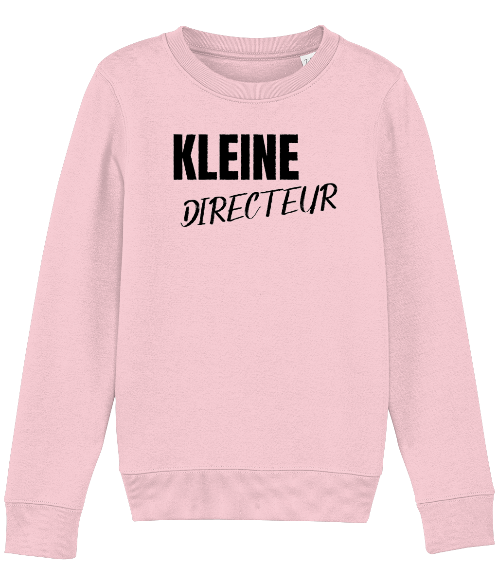 Trui Kleine Directeur