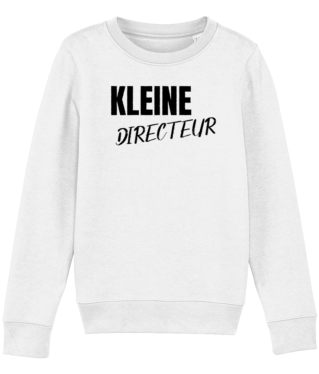 Trui Kleine Directeur