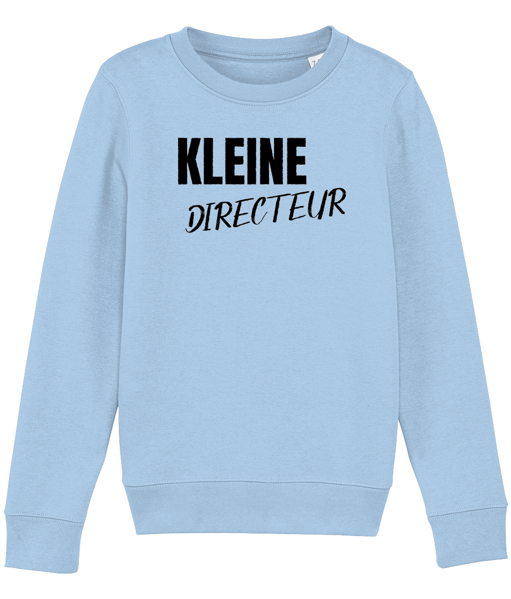 Trui Kleine Directeur